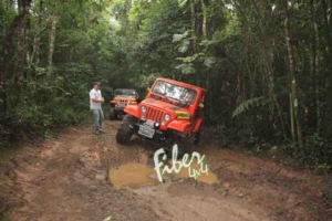 Carroceria CJ-5 - Bi partida - Grade modelo Americana