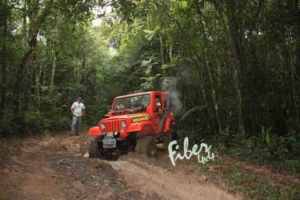 Carroceria CJ-5 - Bi partida - Grade modelo Americana