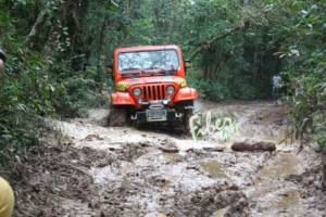 Carroceria CJ-5 - Bi partida - Grade modelo Americana
