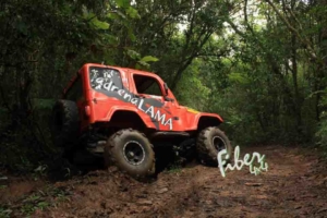 Carroceria CJ-5 - Bi partida - Grade modelo Americana