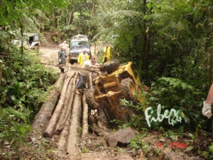 out-2006-trilha-do-Noventa-5-fiber 4x4